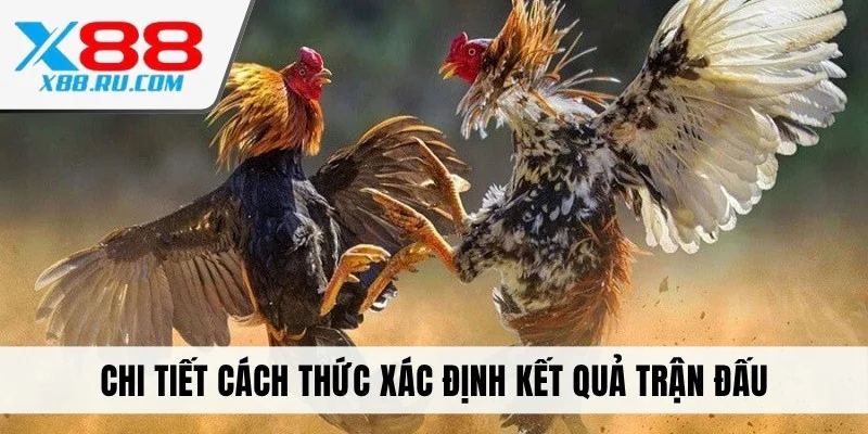 Chi tiết cách thức xác định kết quả trận đấu