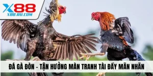 Đá gà đòn x88