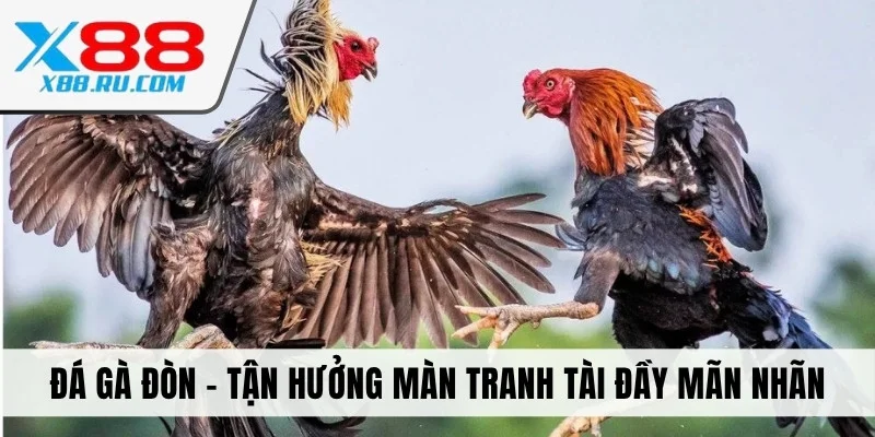 Đá gà đòn x88