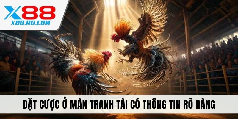 Đặt cược ở màn tranh tài có thông tin rõ ràng