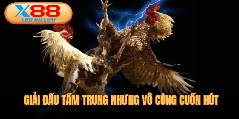 Giải tầm trung nhưng vẫn rất cuốn hút
